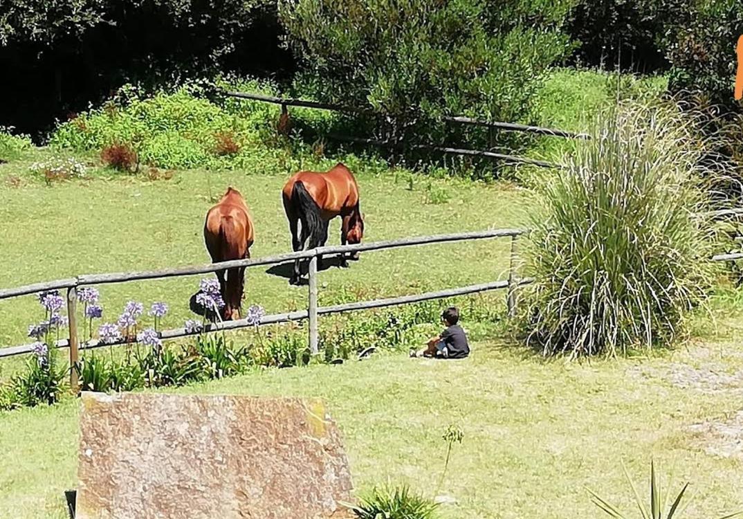 普拉亚德米拉T1 Na Casa Da Quinta S Jose别墅 外观 照片