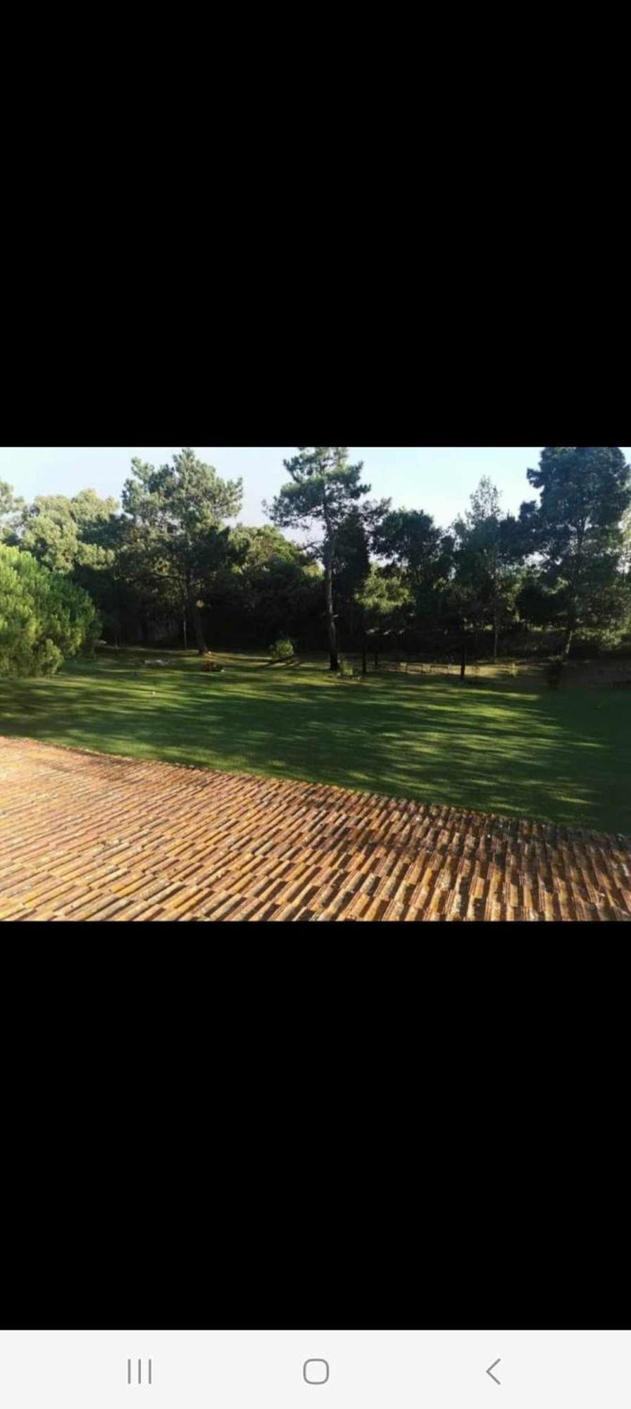 普拉亚德米拉T1 Na Casa Da Quinta S Jose别墅 外观 照片